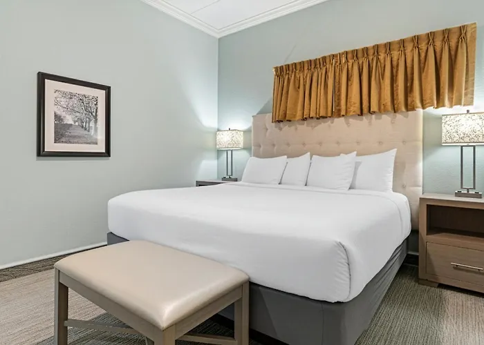 Cherry Tree Inn & Suites