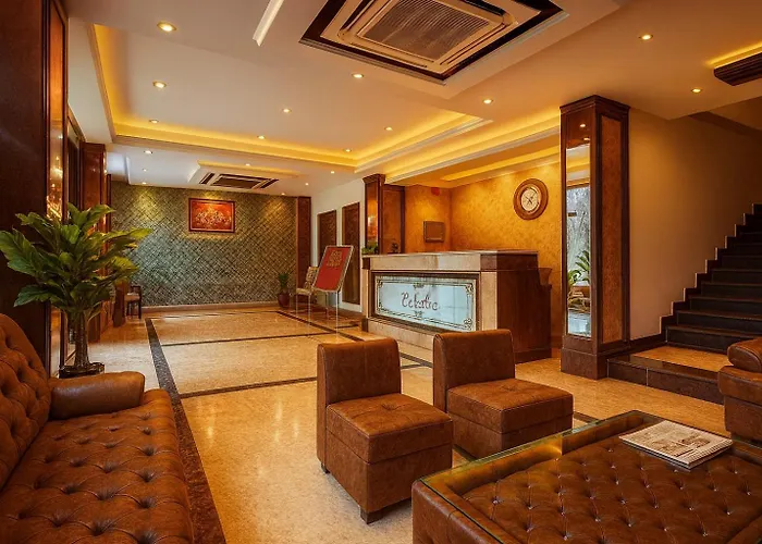 The Zinnia Castle- Dharamshala # Centrally Heated & Air Cooled # Premium Rooms # Lift # Bar # Terrace # Big Parking # Near Market # Top Rated # Property Of The Year