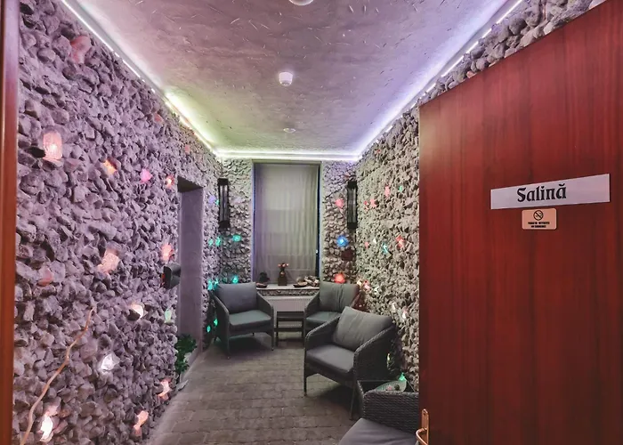 Hotel Carol - Vatra Dornei