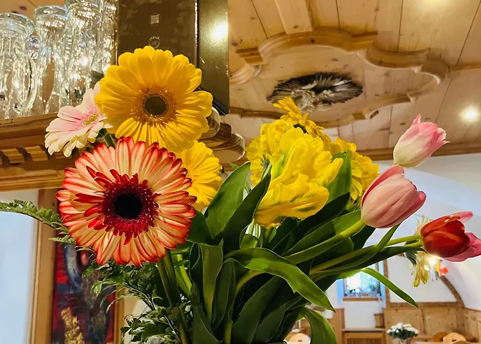 Hotel Garni Salvanel