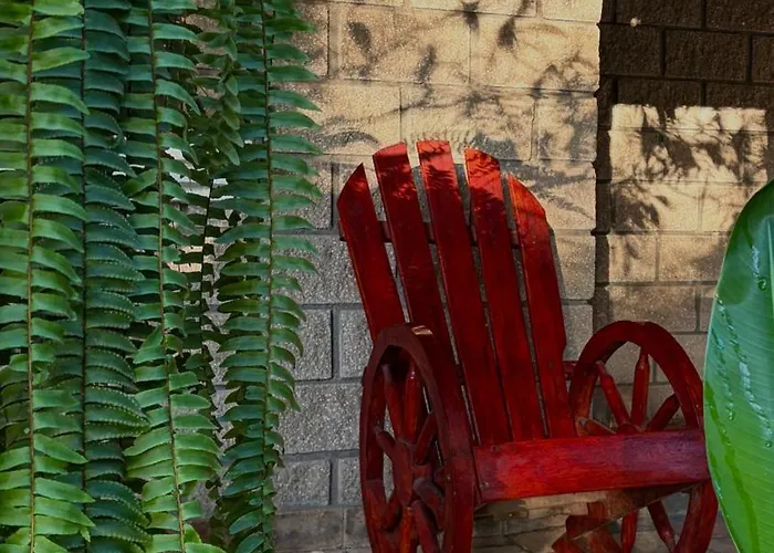 El Bosque Hotel