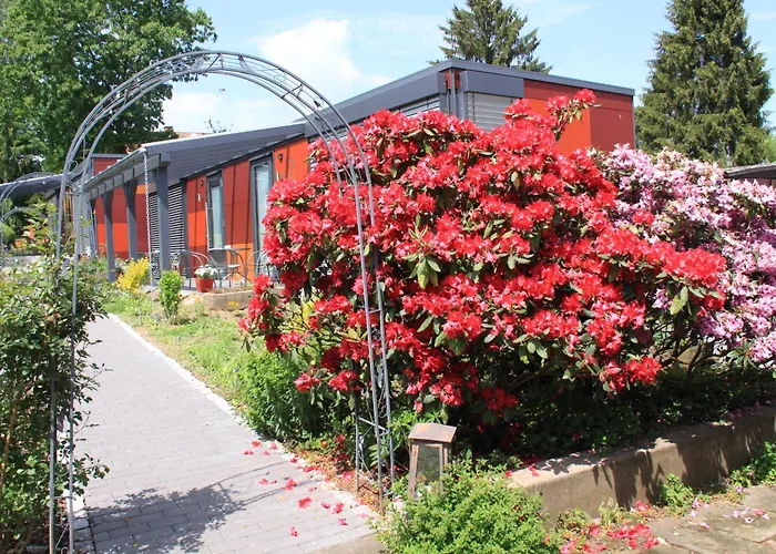 HOTEL SPATZENNEST Vogelsberg