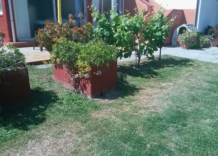 Hotel Rustichello