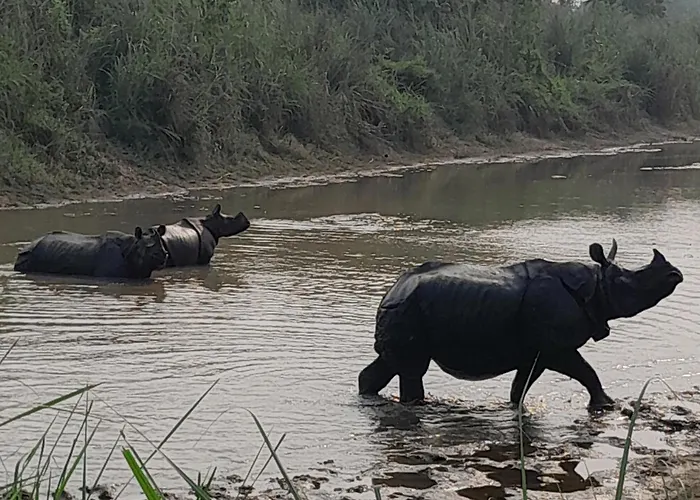 Crocodile Safari Camp