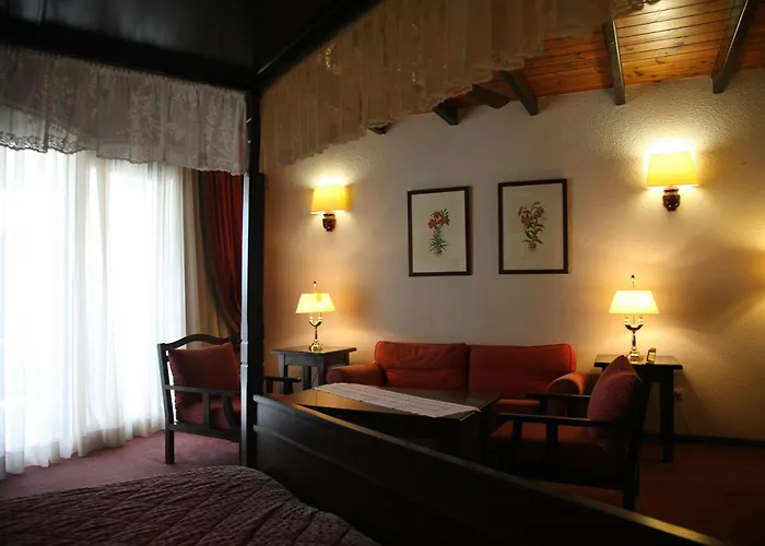 Hotel Spa Montana