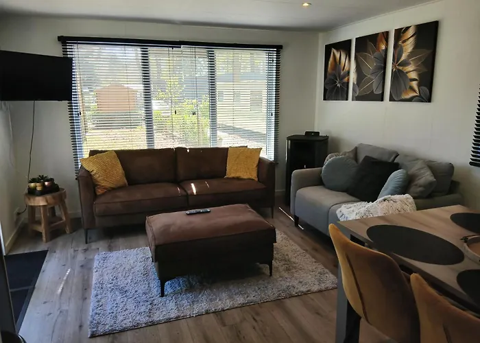 Luxe Chalet Voor Gezinnen In Familiepark Goolderheide Met Openlucht Zwembaden En Ruim Overdekt Terras 24M2