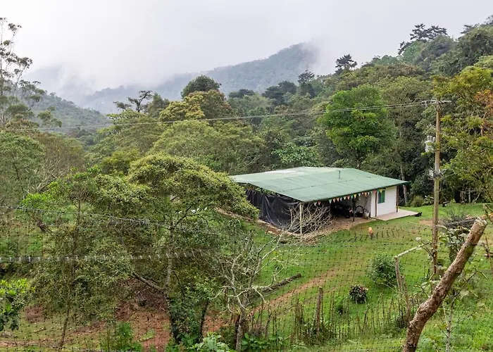 La cabaña del Búho
