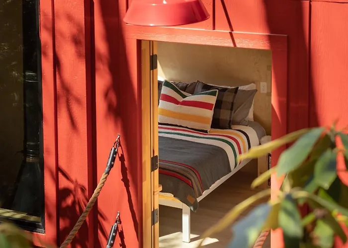 The Cardinal Treehouse