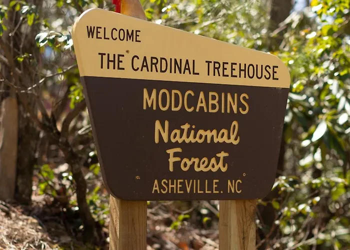 The Cardinal Treehouse