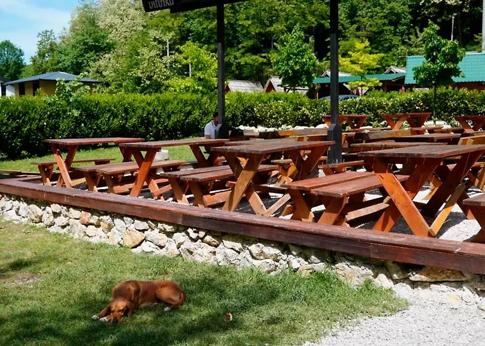 Camp Vrbas
