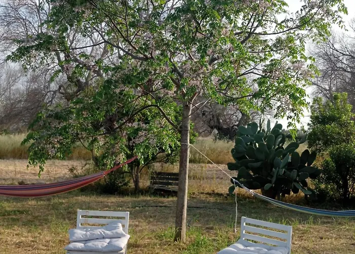 Macaria Agricampeggio