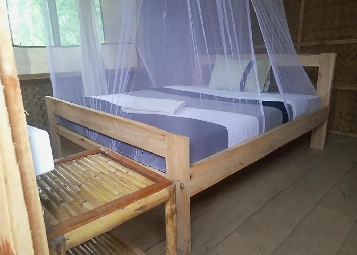 Little Monkey Camp