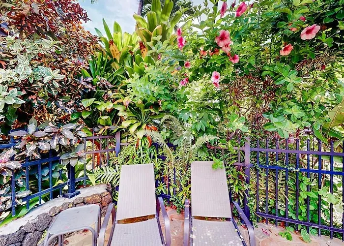 Prince Kuhio 323