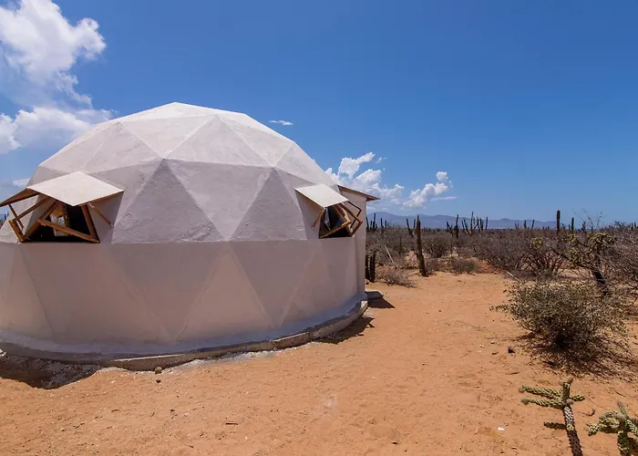 Domo - Cactus Lodge Baja
