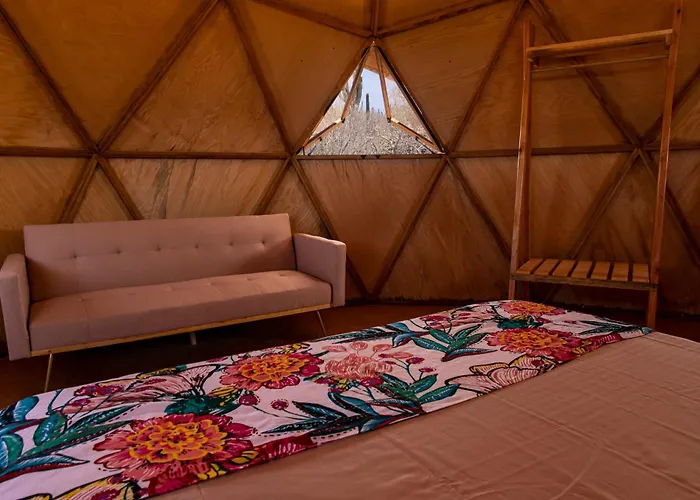 Domo - Cactus Lodge Baja
