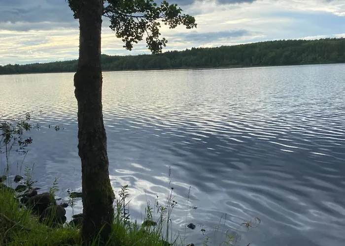 Laerkan
