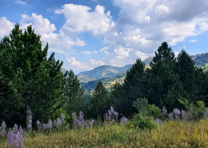 Shtepia E Bardhe