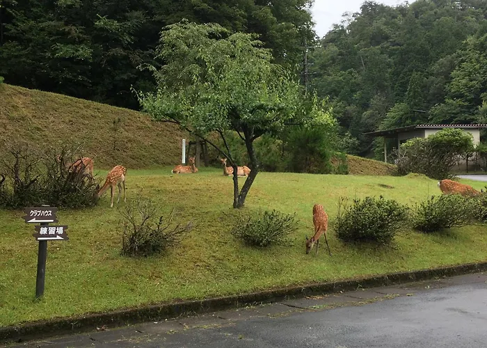 純和風旅亭 碧翠御苑