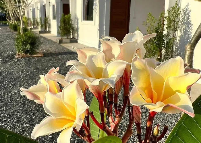Phu Ing Na Resort ภูอิงนารีสอร์ท