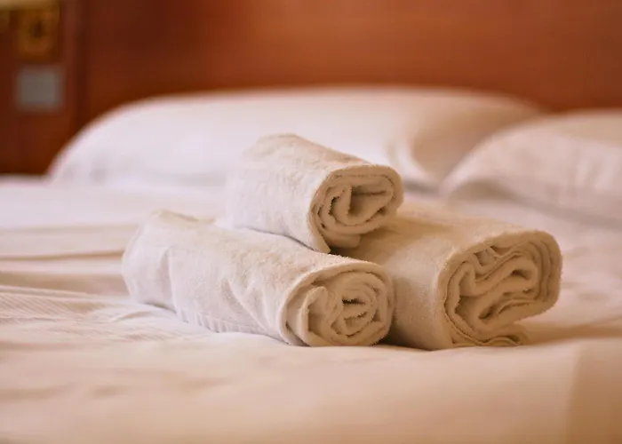 Hotel Saini With Air Conditioning