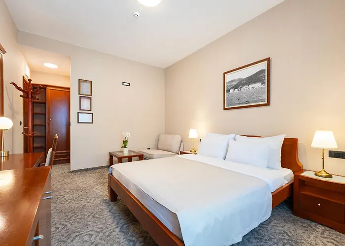 Hotel Montenegrino