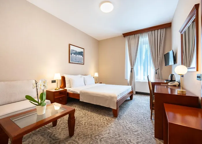 Hotel Montenegrino