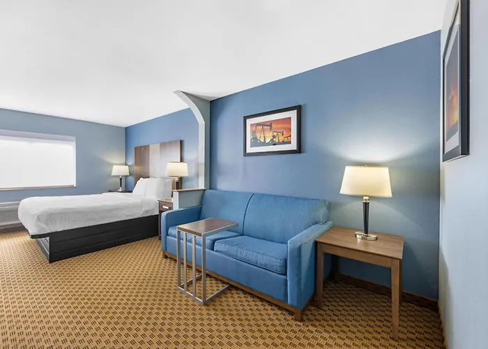 Best Western South Plains Inn & Suites
