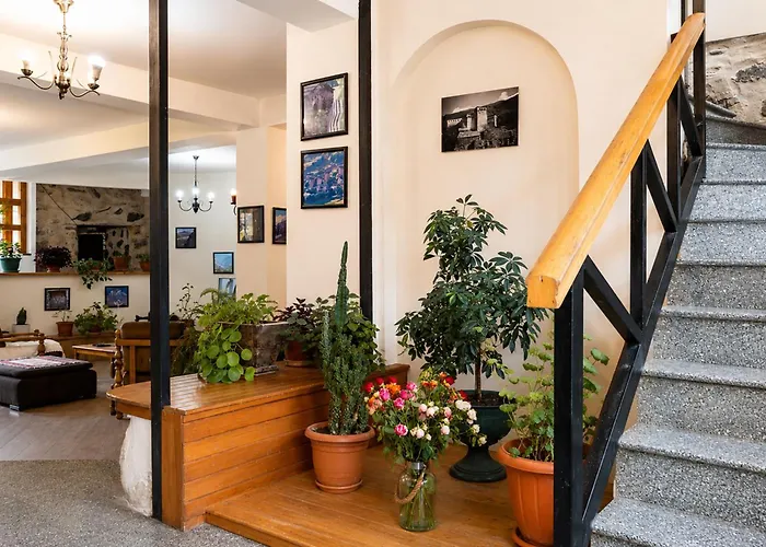 Hotel Old Seti