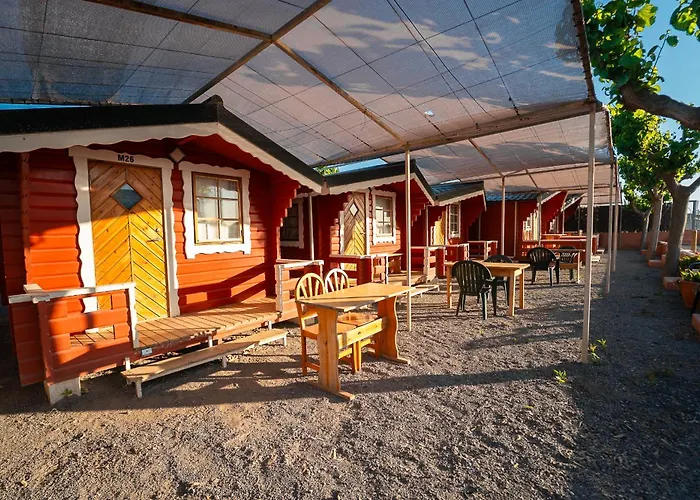 Holacamp Chilches