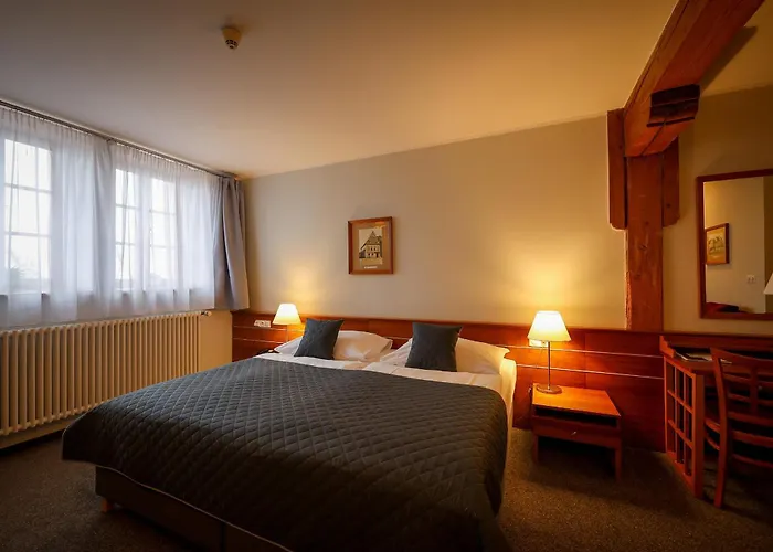 Lh Hotel Dvorak Tabor Congress & Wellness