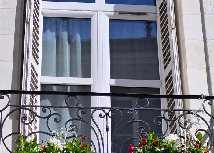Hotel Du Cygne Tours