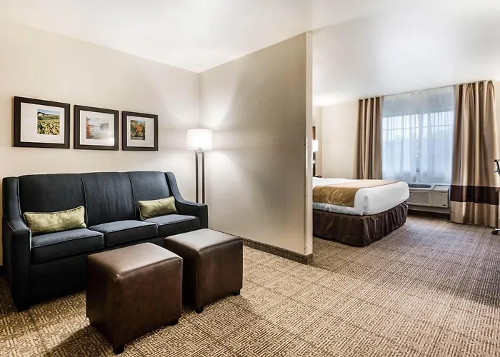 Comfort Suites At Par 4 Resort