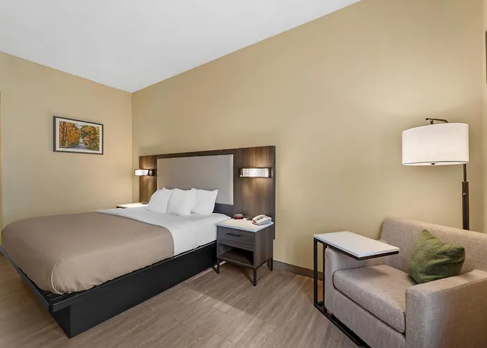 Quality Inn & Suites Bellville - Mansfield