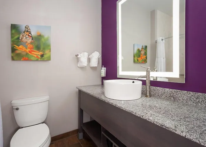La Quinta By Wyndham Springfield Il