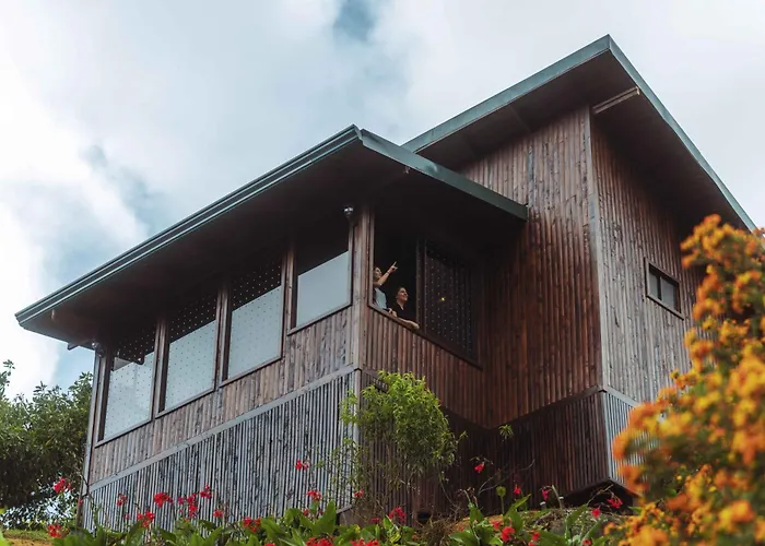 Lauraceas Lodge