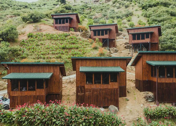Lauraceas Lodge