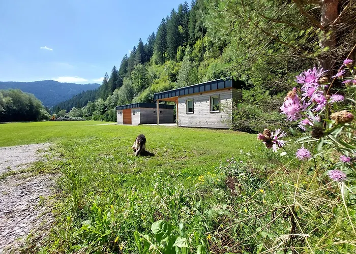 Camp Smica