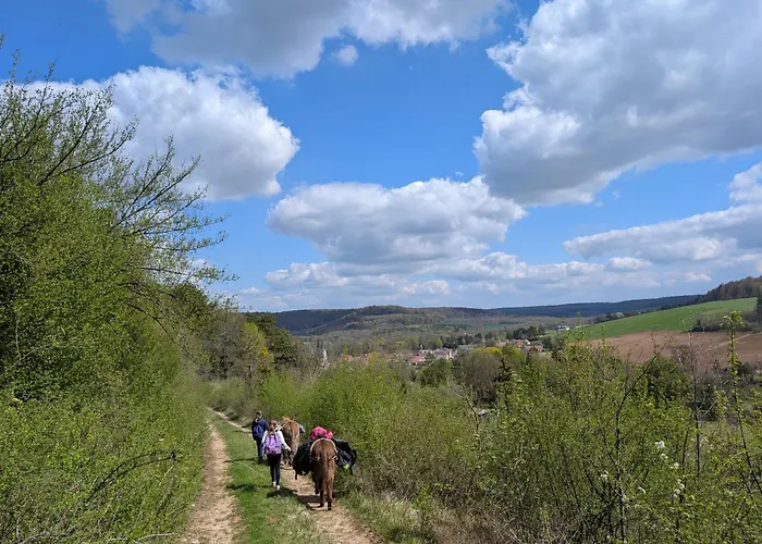 Ecodomaine Chemins De Traverse