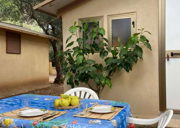 Camping Dell'Uva