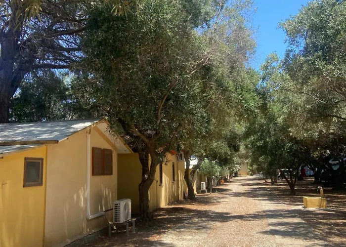 Camping Dell'Uva