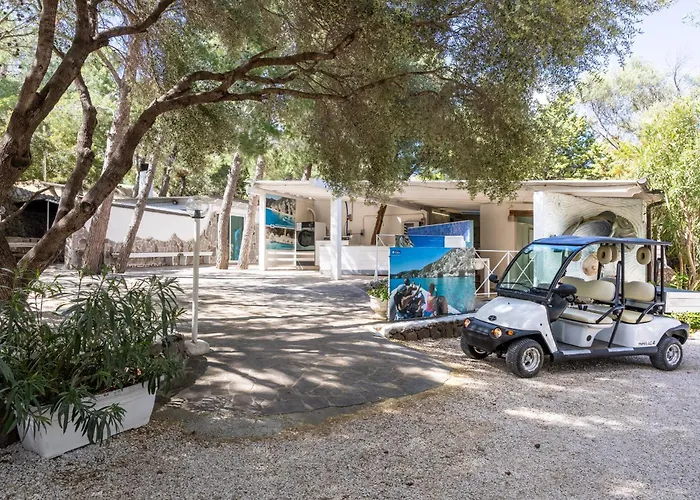 Camping Car Palmasera