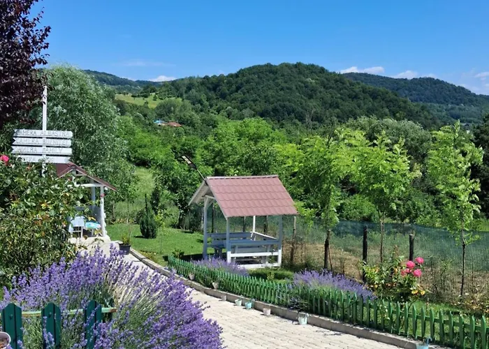 Casutele Verzi Din Ocnele Mari