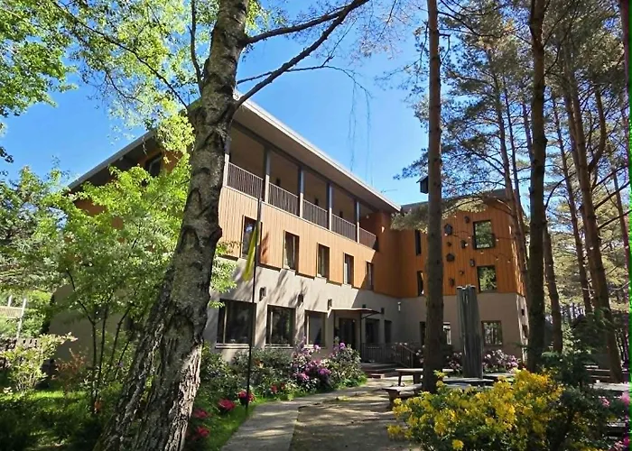 Gintarautojai