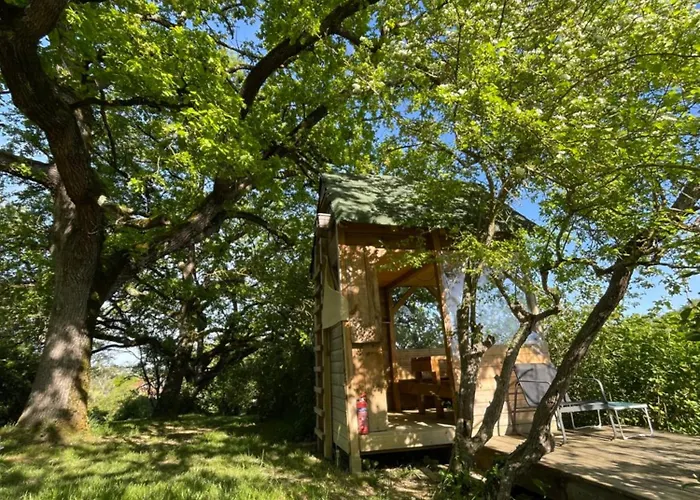 Cabane Bivouac Avec Echelle A L'Ombre Des Chenes