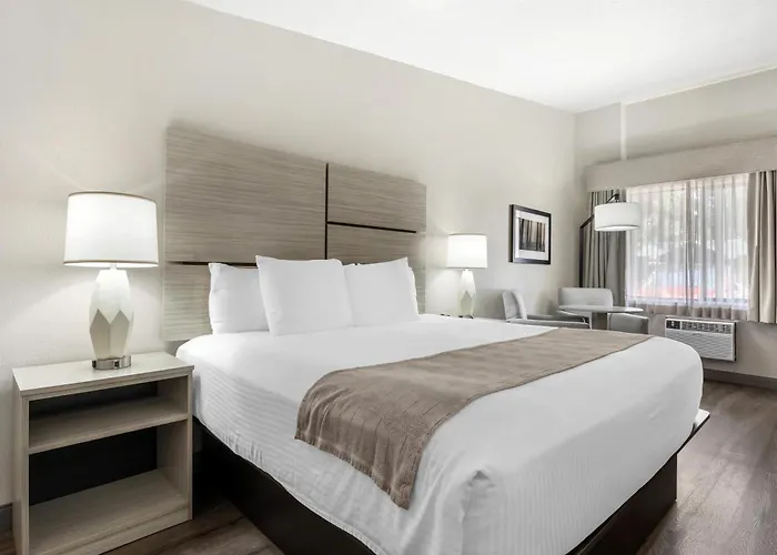 Best Western New Oregon Motel