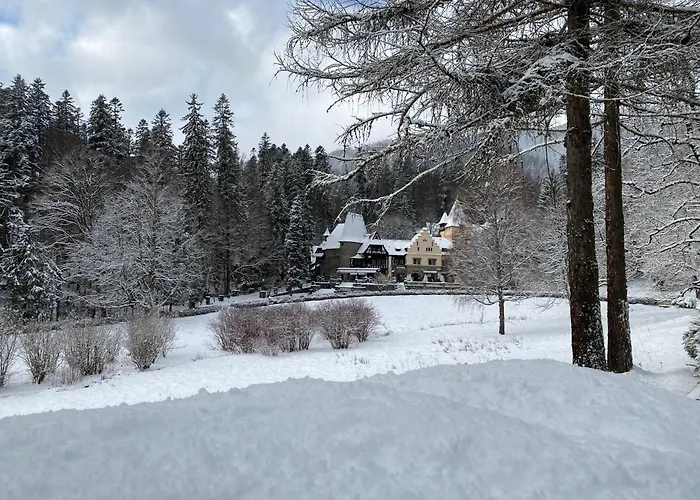 Vila Sipot - Casa Arhitectilor
