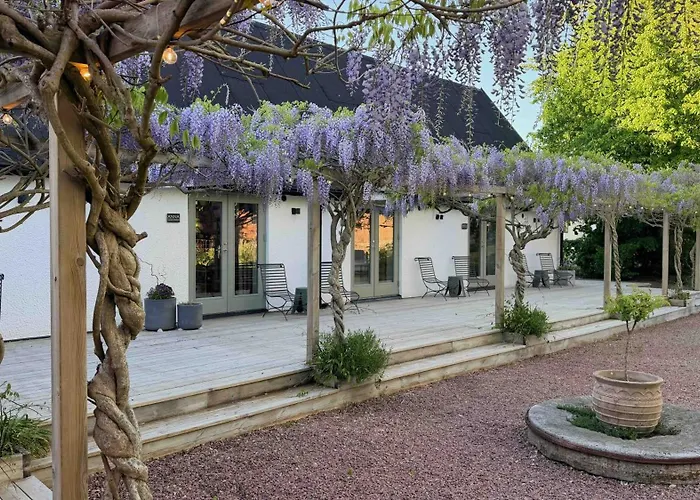 Wisteria Oesterlen