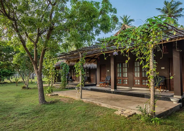 Club Mango Resort