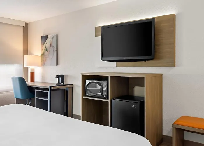 Comfort Inn & Suites And Conference Center