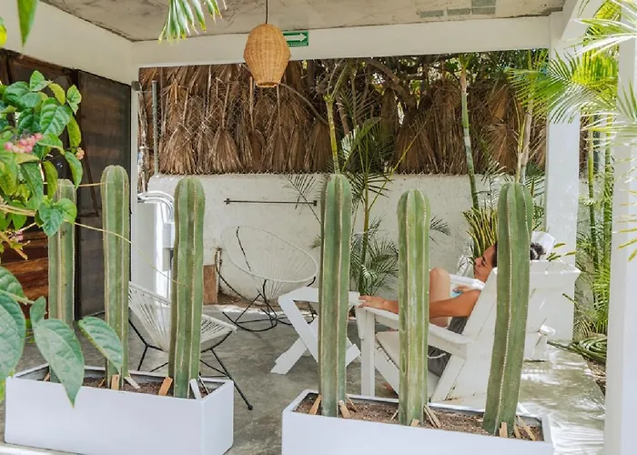 Outsite Todos Santos - Work, Connect, Explore